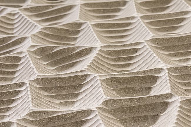 The White Skin in the Grand Hall (closeup), February 2016 © Johannes Arlt