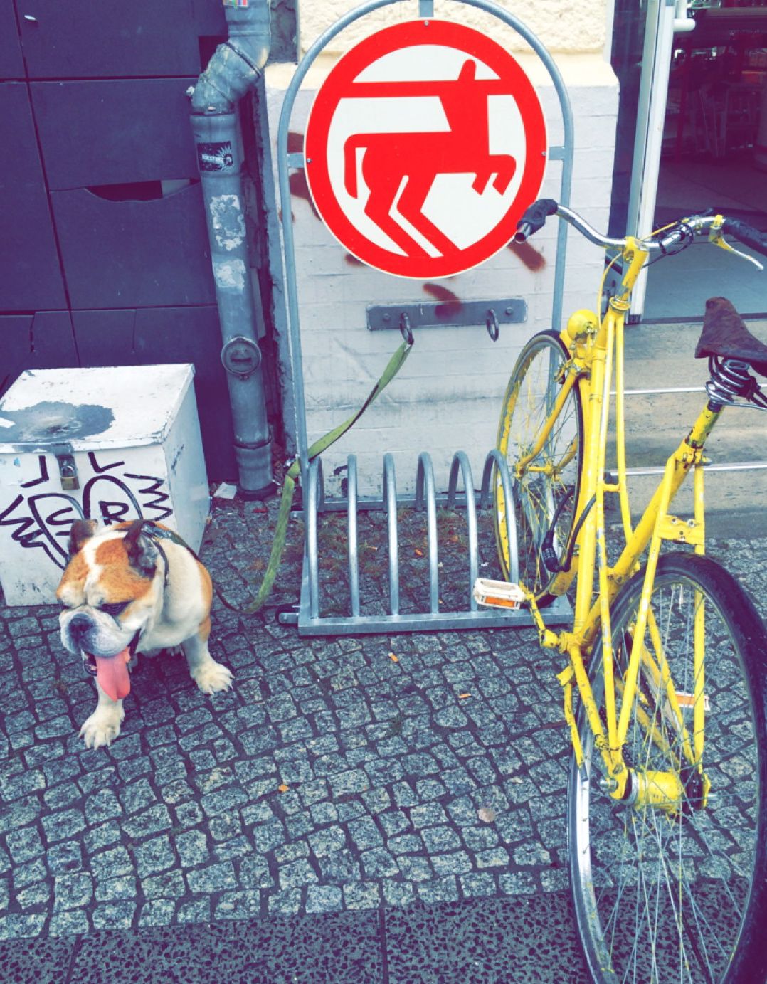 Dating blog berlin