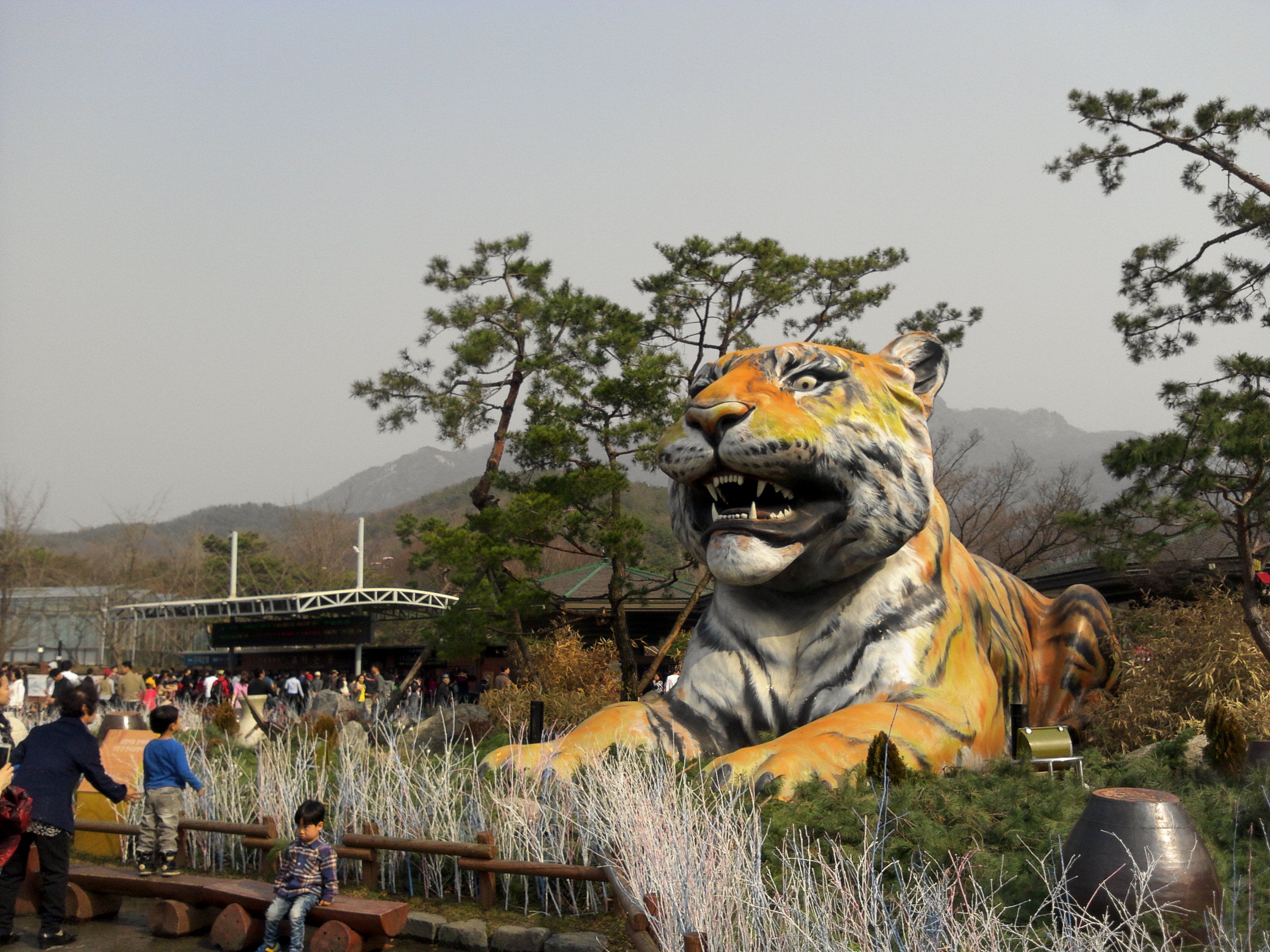 5 Reasons You Need to Visit the Seoul Zoo
