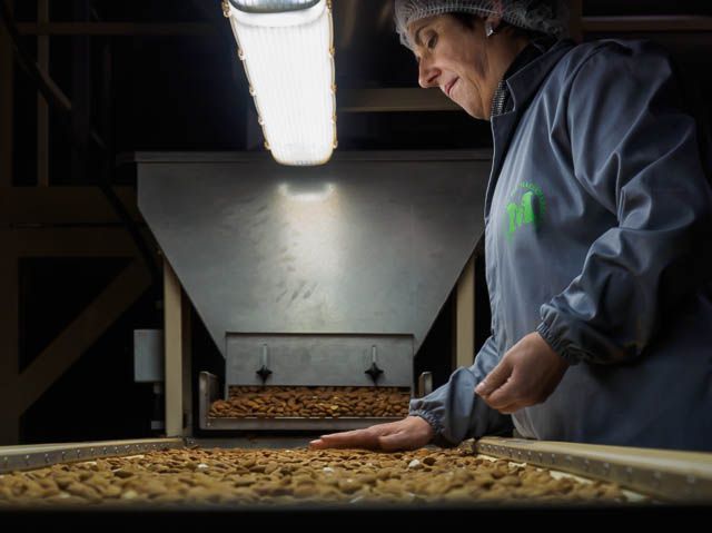 OLYMPUS DIGITAL CAMERA I left Lola sorting out the "wheath from the chaff"