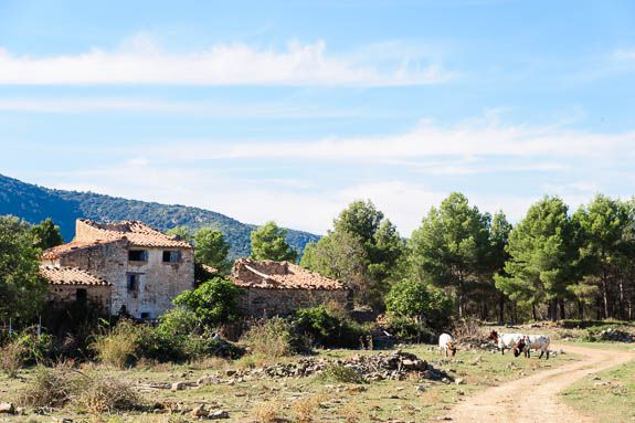 spanish mountain life the mountains are dotted with old abandoned fincas like this