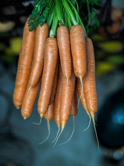 vegetables in spain
