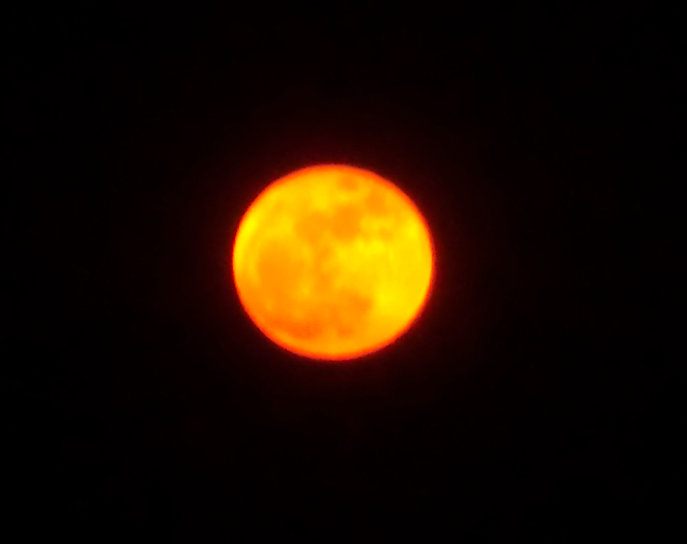 Planting on a full moon