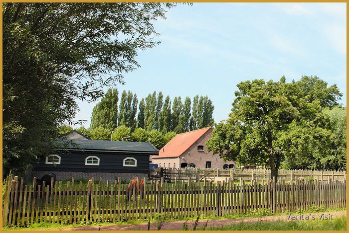Dutch farm