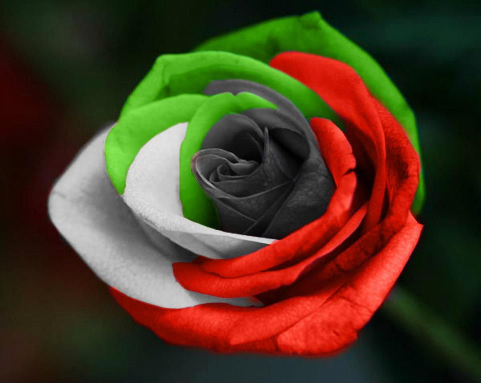 Proud to be … an Emirati