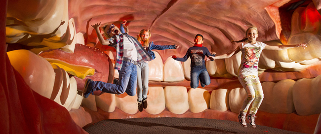Corpus educational human body attraction for children families in Leiden Den Haag Netherlands
