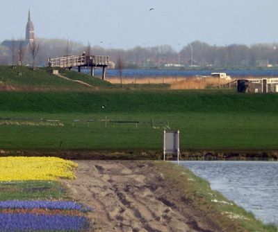Dutch dike in South Holland