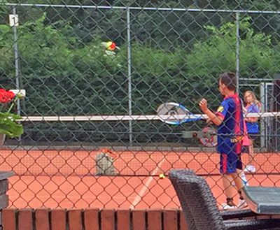 summer tennis camp in Zoetermeer
