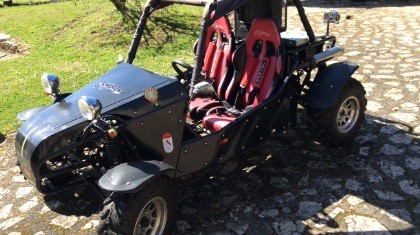 1 seater buggy