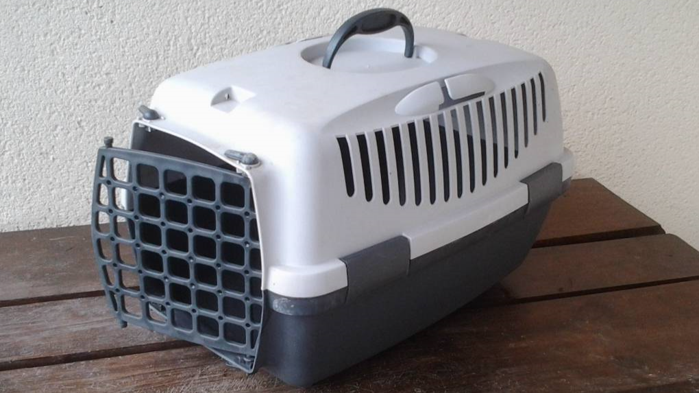 Cat carrier Home & Garden Classifieds Normandy Angloinfo